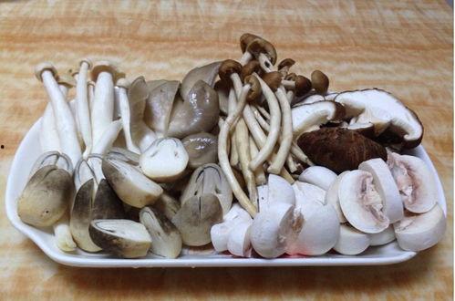 蘑菇视频爆料黑料吃瓜51,揭秘黑料吃瓜51背后的真相